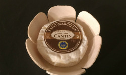 La Fromagerie Marie-Anne Cantin - Saint-marcellin
