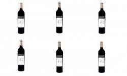 Domaine de Bilé - IGP Vin Côtes de Gascogne Rouge Vendanges Mains - 6 Bouteilles de 75 cl