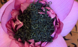 Nuage Sauvage - Thé vert dans la fleur de Lotus entier