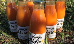Délit de Gourmandise - Nectar d'abricots Bio - 12x75cl