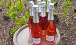 Champagne Deneufchatel - Champagne Deneufchatel Brut Rosé 6 X 75 Cl