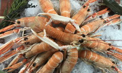 Saveurs Océanes IO - Langoustines cuites – 200g