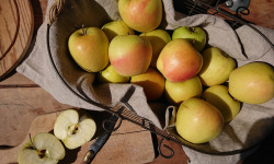 Le Verger de Crigne - Pommes Golden Bio (moyen Calibre) - 10kg