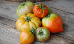 La Boite à Herbes - Tomate Ancienne Bio - 1kg