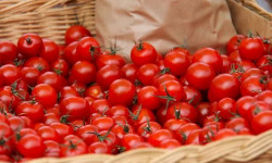 Le Châtaignier - Tomates  cerise - 2kg
