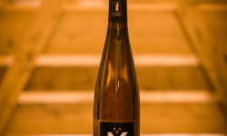 Domaine François WECK et fils - FOIRE AUX VINS : Pinot gris Vendange Tardive 2020 75cl x 6