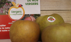 Le Châtaignier - Pommes Reinette Grise Du Canada - Colis 14 Kg