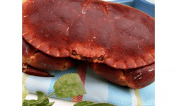 Poissonnerie Paon - Crabe Tourteau Cuit : A la pièce, 300g - 400g, Demi-crabe