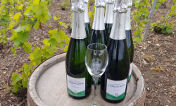 Champagne Deneufchatel - Champagne Deneufchatel Brut Tradition 6 X 75 Cl