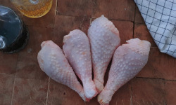 EARL Plumes et Laines - pilons de poulet