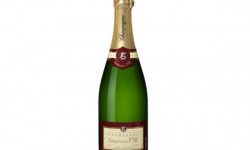 Champagne Stéphane Fir - Champagne Brut - 3 X 75 Cl