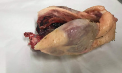 Des Poules et des Vignes à Bourgueil - Cuisse d’Oie sur Carcasse (x2)