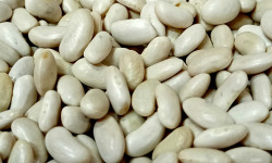 Ferme Joos - Haricots blancs Bio - 500g