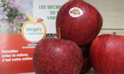 Le Châtaignier - Pommes Gala - Colis 5kg