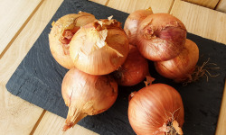 Gourmets de l'Ouest - Oignons rosés de Saint-Malo - 3kg