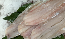 Saveurs Océanes IO - Filets de merlan – 1kg