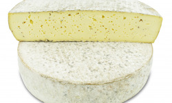 BEILLEVAIRE - Raclette à la moutarde