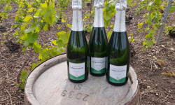 Champagne Deneufchatel - Champagne Deneufchatel Brut Tradition 3 X 75 Cl