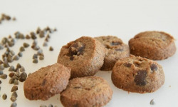 L'Atelier Contal - Paysan Meunier Biscuitier - Cookies Exquis - Farine de Sarrasin et pépites de chocolat - 80g