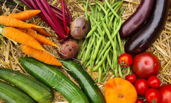 La Ferme de Goas Per - Panier de légumes de saison Bio