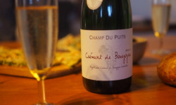 SCEA Champ du Puits - Crémant de Bourgogne - 2 bouteilles