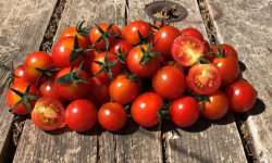 La Boite à Herbes - Tomates cerises bio 1 kg