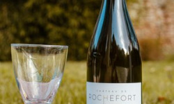 Château de ROCHEFORT - Vin Blanc 2022 – Muscadet de Sèvre et Maine sur Lie (6bt)