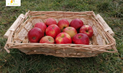 Au bon Jardinet - Délicieuses Pommes Jonagold X 3 Kg