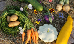 Ferme Sinsac - Panier de legumes variés Bio - 3 kg