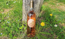 Domaine de Pilhoy - Vin Rosé AOC Bordeaux - 6x75cl