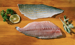 Côté Fish - Mon poisson direct pêcheurs - Filets De Saupe 300g