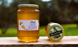 La Truite du Mézenc - Miel de Tilleul - 1kg