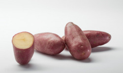 Maison Bayard - Pommes de terre Cheyenne - 12.5kg