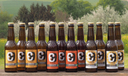 Microbrasserie Blessing - PACK BIERES – 4 blondes + 4 ambrées + 4 blanches – 12x33cl