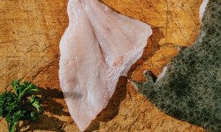 Côté Fish - Mon poisson direct pêcheurs - Filets De Turbot 300g