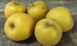 Le Châtaignier - Pomme Bertanne 1kg