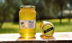 La Truite du Mézenc - Miel d'acacia - 1kg