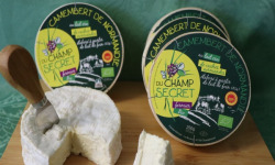 Ferme du Champ Secret - Camembert de Normandie Bio AOP x5