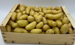 Le Panier du Producteur - Pommes de terre grenaille - 1kg