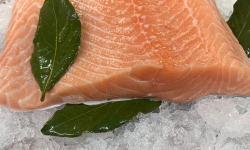 Saveurs Océanes IO - Filet de saumon – 1kg