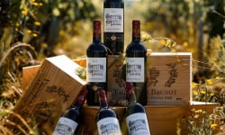 Vignobles Brunot - Bordeaux Supérieur Rouge - Château Maledan 2020 - 6x75cl