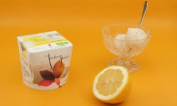Le Jardinier Glacier - Sorbet Citron de Sicile avec zeste confit maison - 550ml X4