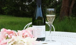 Champagne De Sloovere - Pienne - Champagne Empreinte Extra Brut 75cl