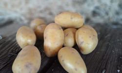 Les Jardins de Gérard - Pomme de terre Monalisa Bio - 1 kg
