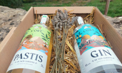 Distillerie de l'Òrt - Gin et Pastis de nos Jardin BIO - 2x70cl