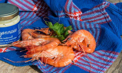 Ô'Poisson - Crevettes Cuites Sauvages - Lot De 500g