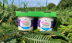 Fromagerie Saint Goal - Yaourts natures - 2 pots