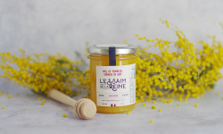 L'Essaim de la Reine - Miel de tournesol crémeux du Gers - 250g - récolté en France par l'apiculteur