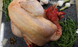 Volailles BIO Galichet - 2 poulets Fermiers Bio de 2.6kg, 8 cuisses de 400g (8.4kg au total)
