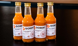 Gobert, l'abricot de 4 générations - Nectar d'abricot 25cl - lot de 4 bouteilles